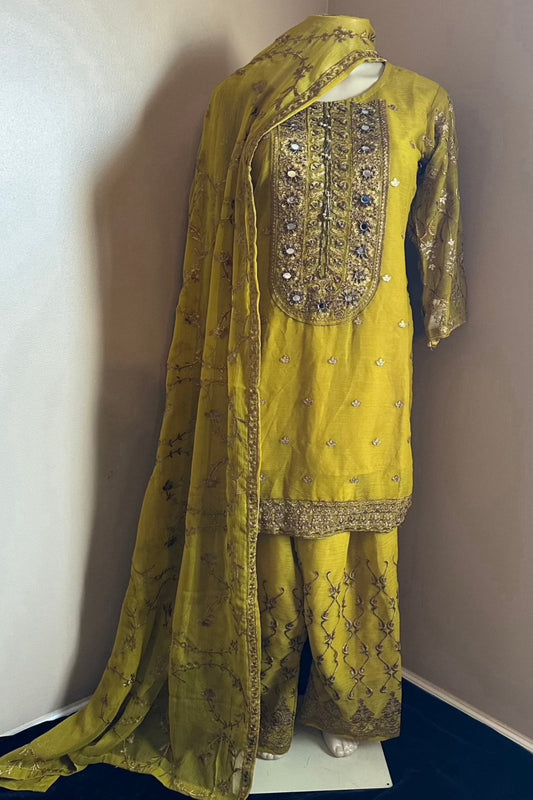 Dhani Green embroidered 3 pc suit